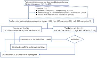 Prediction of Ki-67 expression in bladder cancer based on CT radiomics nomogram